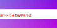 老铁甲烟斗丝：开启烟斗入门的独特味觉之旅