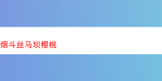 探秘经典烟斗丝：马坝樱桃及相关烟草的独特魅力与多样体验