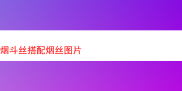 烟斗丝搭配：探索独特的烟草风味之旅