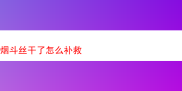 烟斗丝干了的补救之法与烟草品鉴感悟
